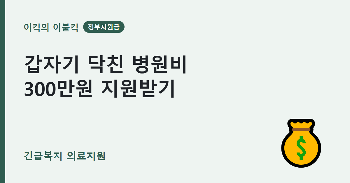 갑자기 병원비가 300만원 나왔다면? 긴급복지 의료지원 신청조건 한도 알아보기